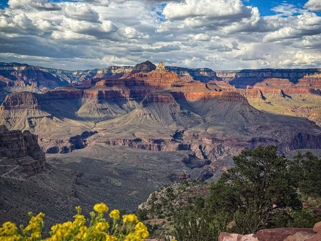 Grand Canyon hiker on the trail