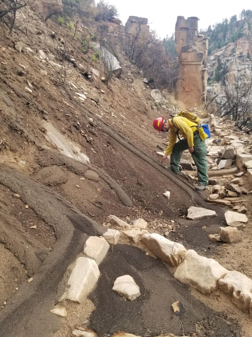WORKER EXAMINES DAMAGE ON NORTH KAIBAB TRAIL
